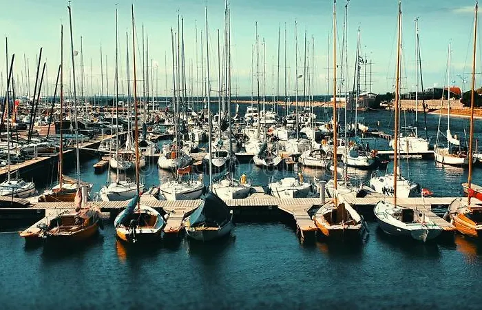 Away From Centre Near Kadriorg アパート